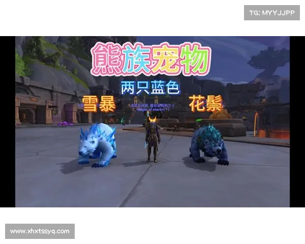 魔兽世界小宠物对战:解锁装备之道 魔兽世界小宠物对战:解锁装备之道